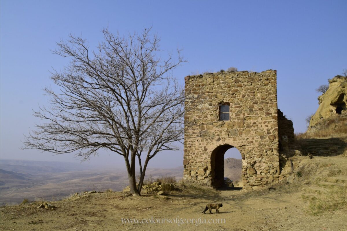 David Gareji David Gareji, Georgia, Kakheti, Viaggiare in Georgia, Come organizzare un viaggio in Georgia