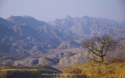 8 gite in giornata da Tbilisi: idee per esplorare la Georgia senza cambiare alloggio